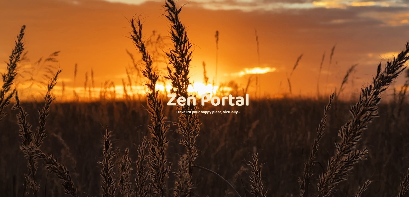 ../../photos/ProjectScreenShots/zenportal.png